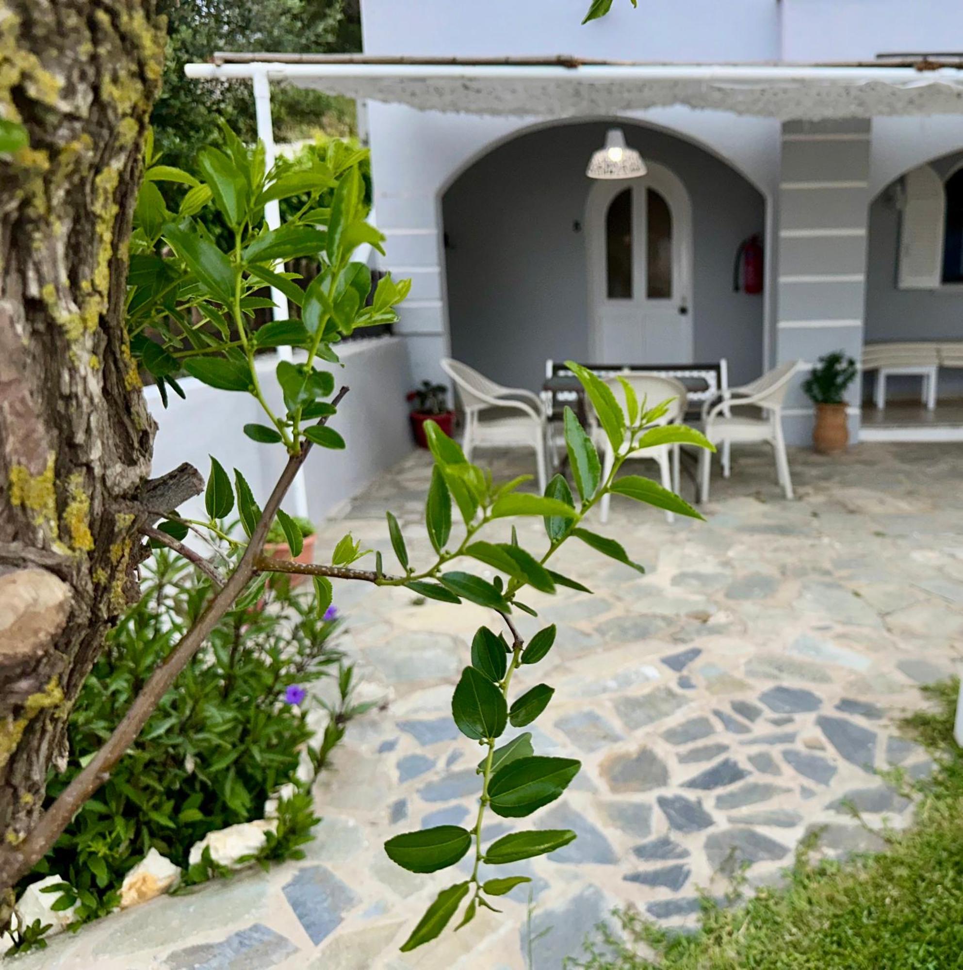 Eleana Apartments And Studios Agios Georgios Pagon Extérieur photo